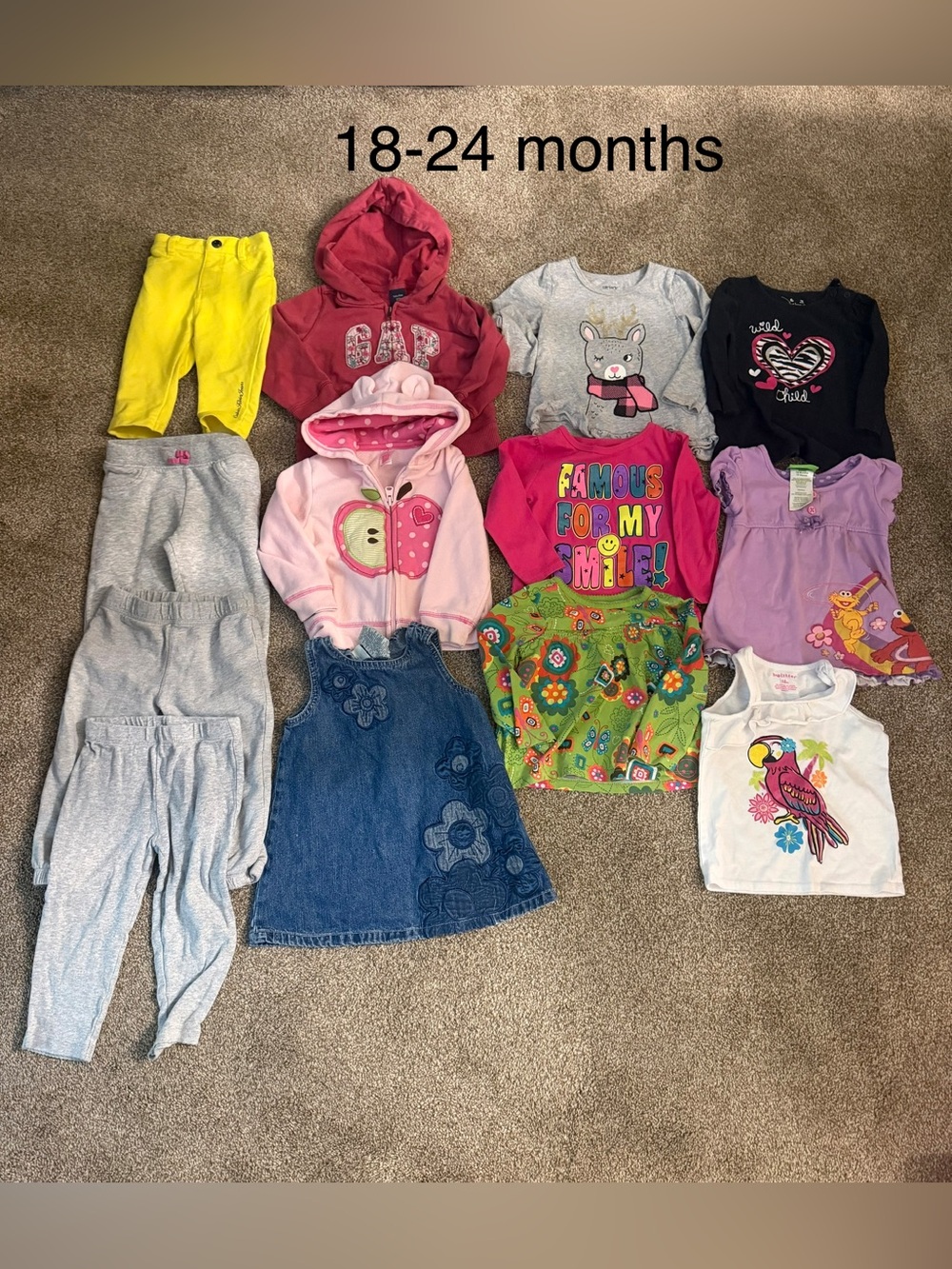 GAP Pink Hooded Jacket with Mixed Color Girls Tops
